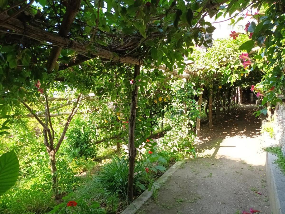 Casa Emi Apartment Амалфи Екстериор снимка